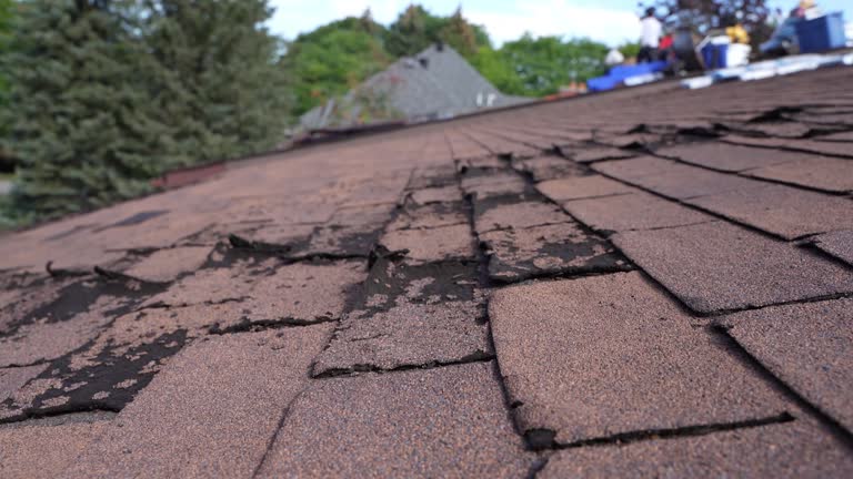 Best 4 Ply Roofing  in Great Neck Estates, NY